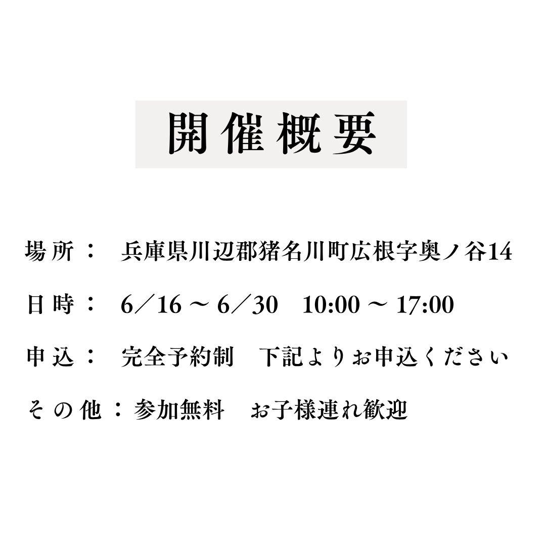53.jpg