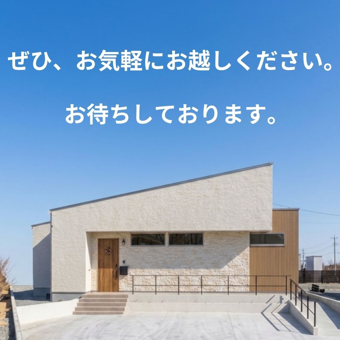 65.jpg